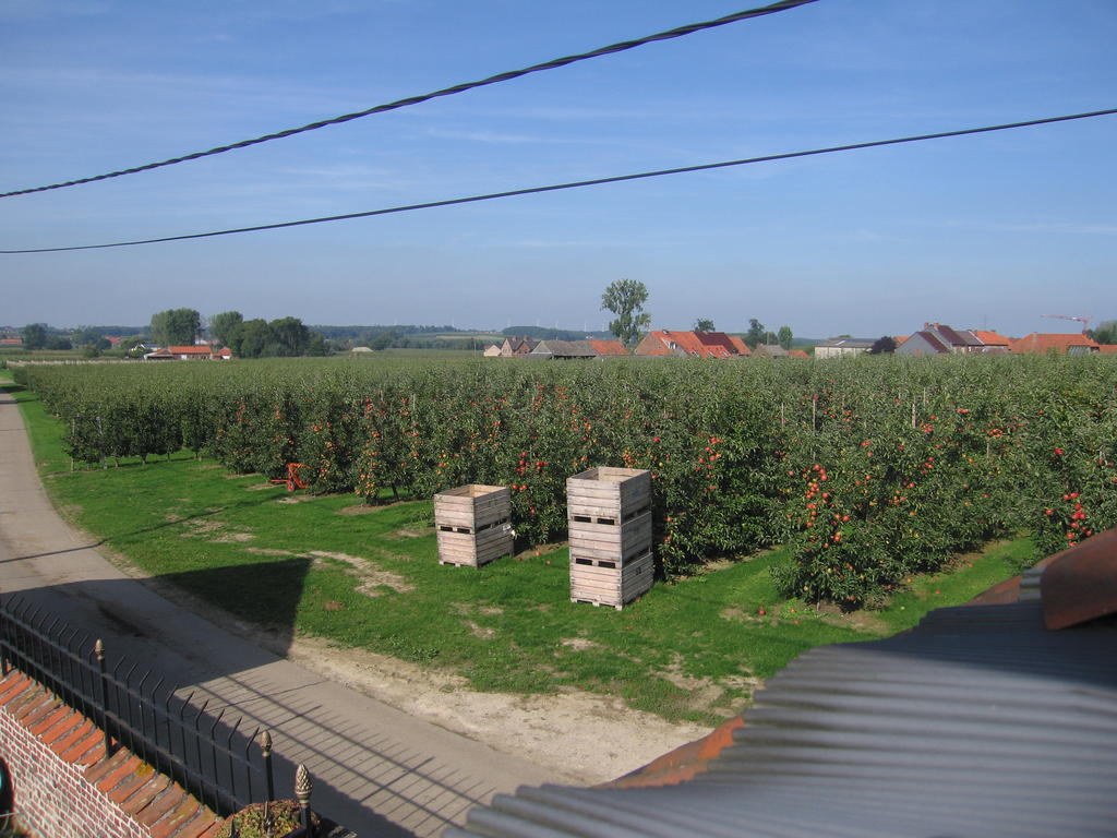 B&B Hoeve Ransberg Eksteriør billede